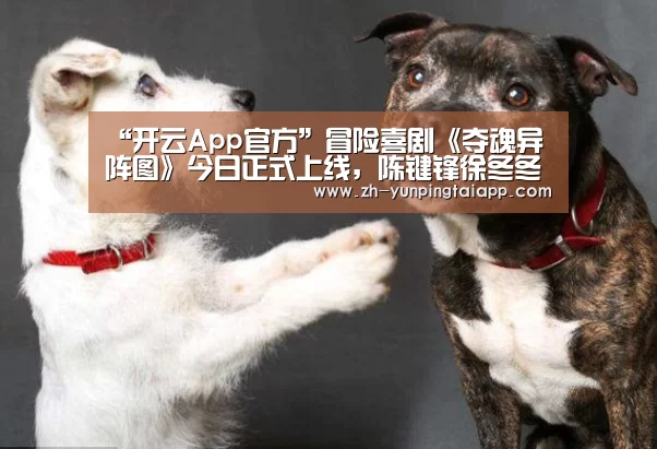 开云App官方