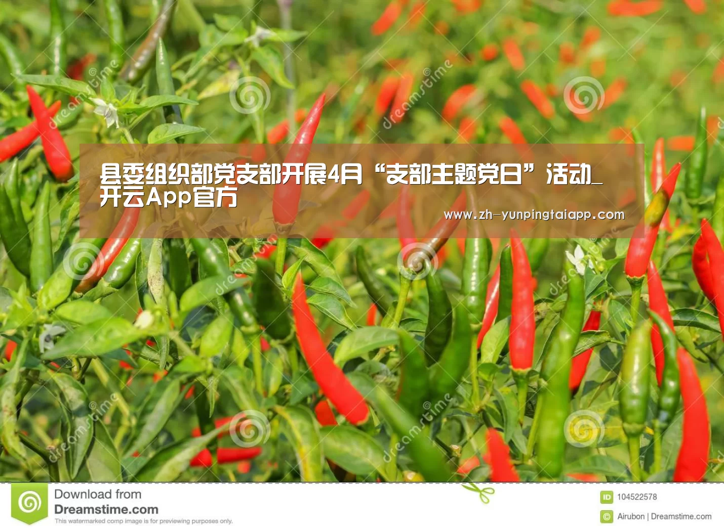 开云App官方