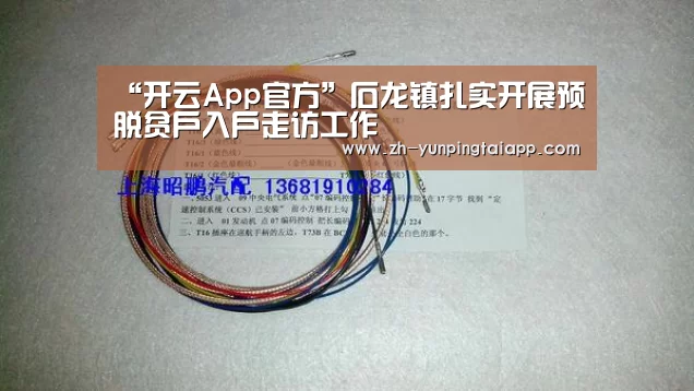 开云App官方