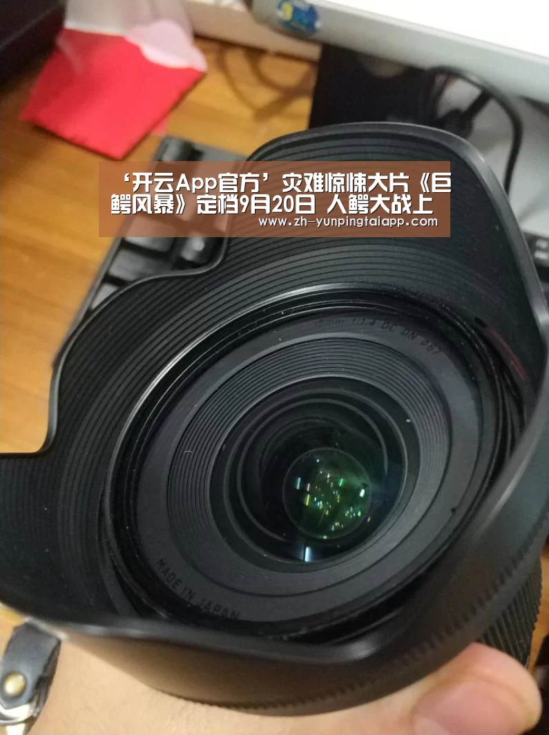 ‘开云App官方’灾难惊悚大片《巨鳄风暴》定档9月20日 人鳄大战上演水中生死时速(图2) 开云App官方