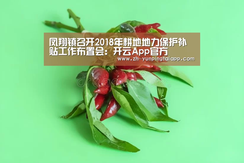 凤翔镇召开2018年耕地地力保护补贴工作布置会:开云App官方(图1) 开云App官方