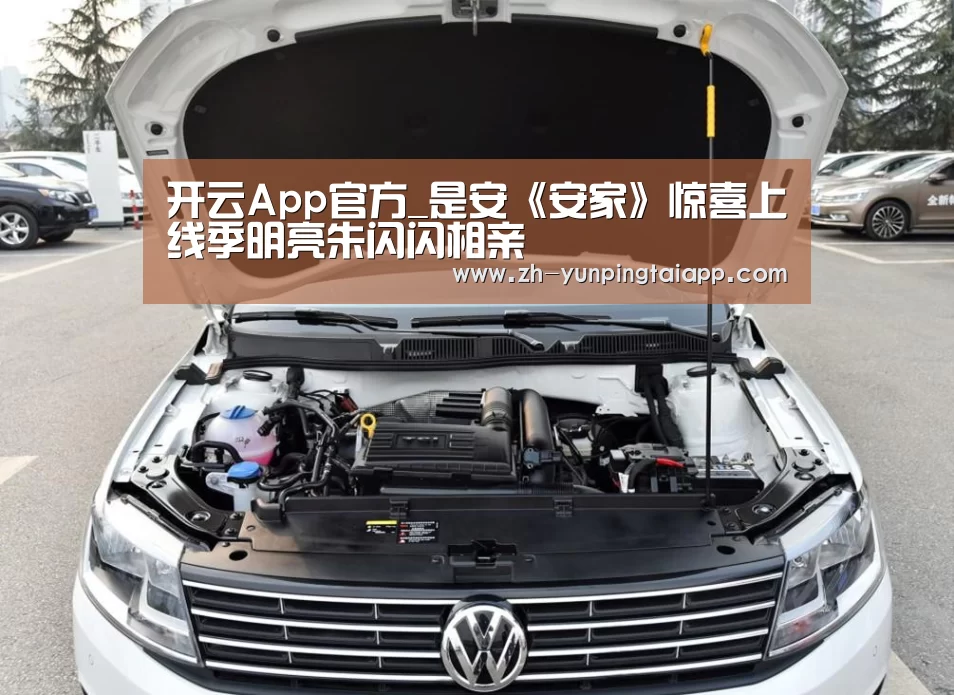 开云App官方_是安《安家》惊喜上线季明亮朱闪闪相亲(图1) 开云App官方