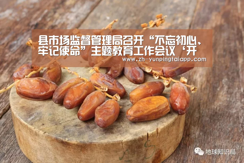 开云App官方