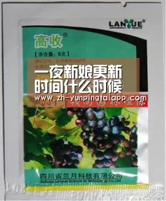 开云App官方
