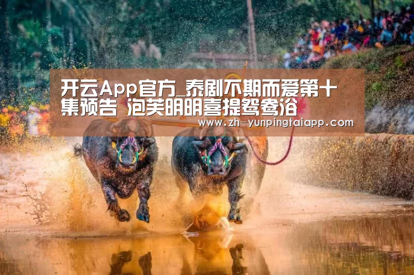 开云App官方