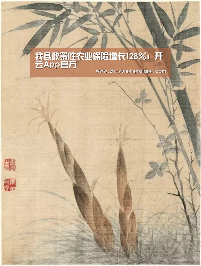 开云App官方