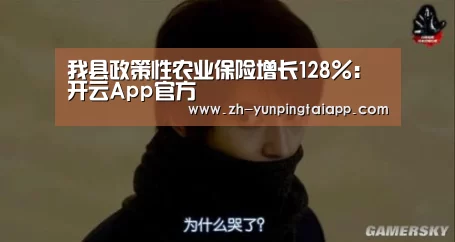 开云App官方