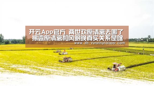 开云App官方