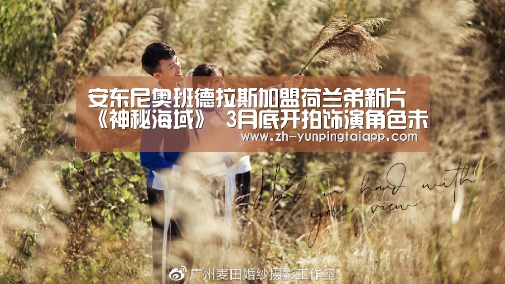开云App官方