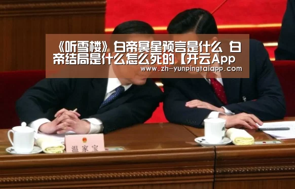 开云App官方