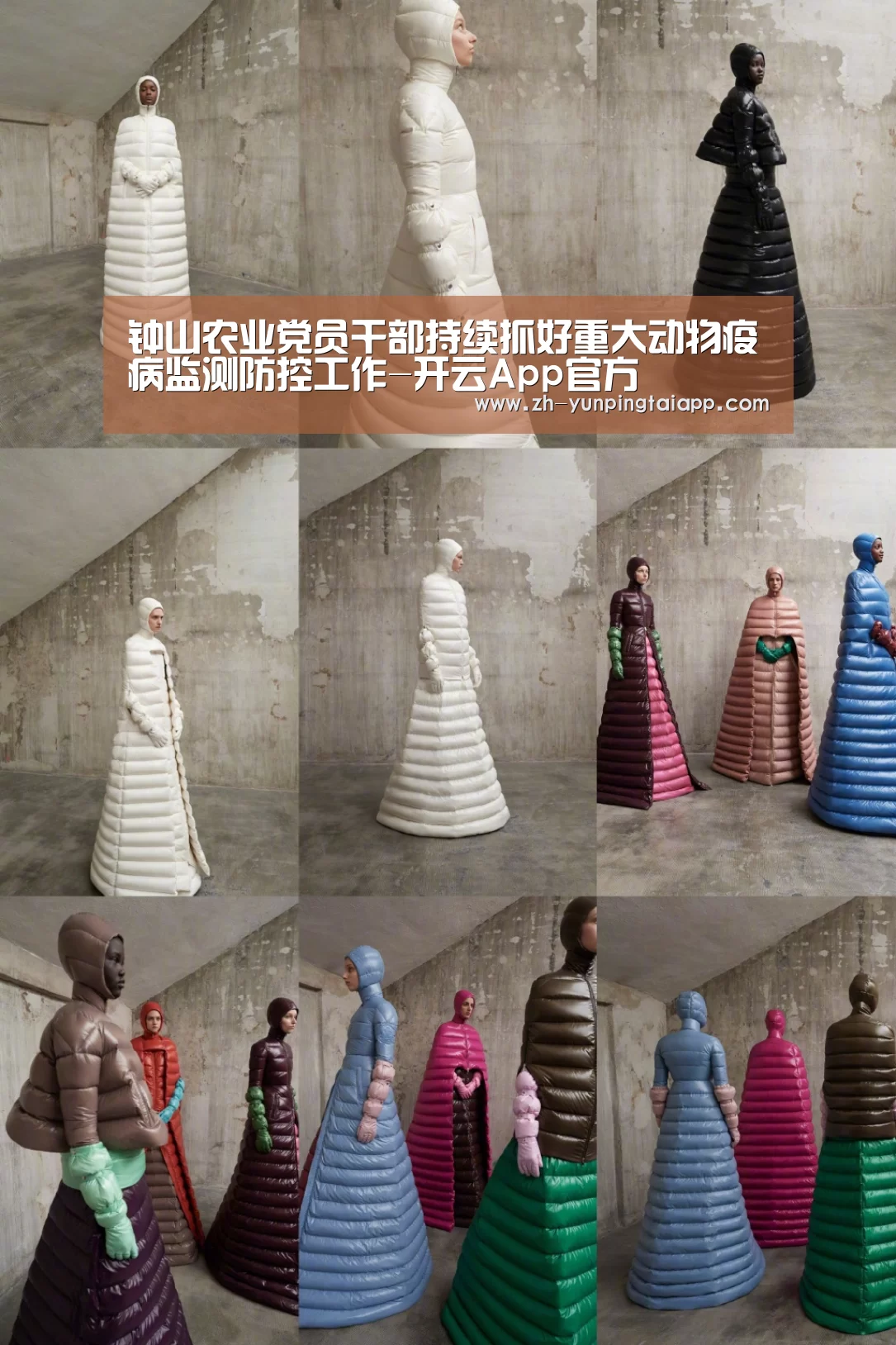 钟山农业党员干部持续抓好重大动物疫病监测防控工作-开云App官方(图2) 开云App官方