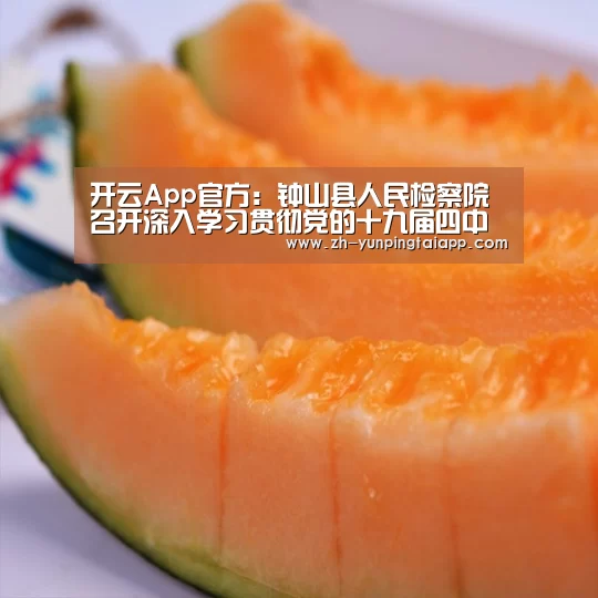 开云App官方:钟山县人民检察院召开深入学习贯彻党的十九届四中全会精神专题研讨会(图2) 开云App官方
