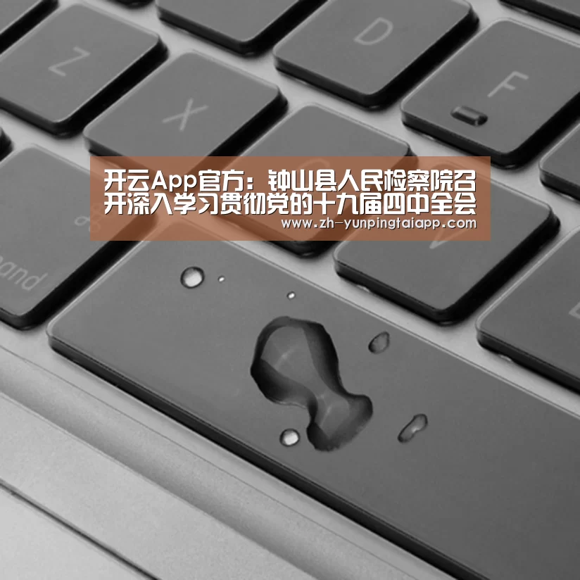 开云App官方:钟山县人民检察院召开深入学习贯彻党的十九届四中全会精神专题研讨会(图3) 开云App官方