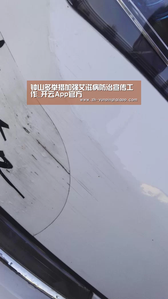 开云App官方