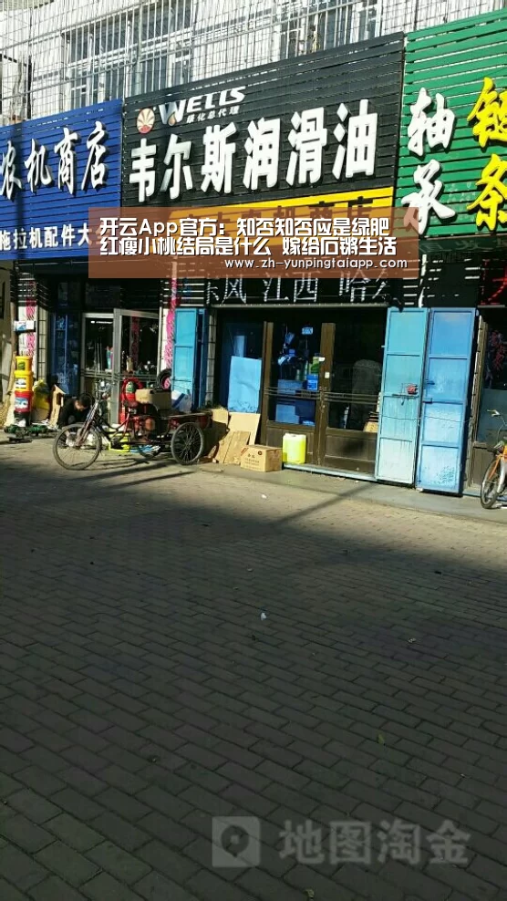 开云App官方:知否知否应是绿肥红瘦小桃结局是什么 嫁给石锵生活幸福(图1) 开云App官方